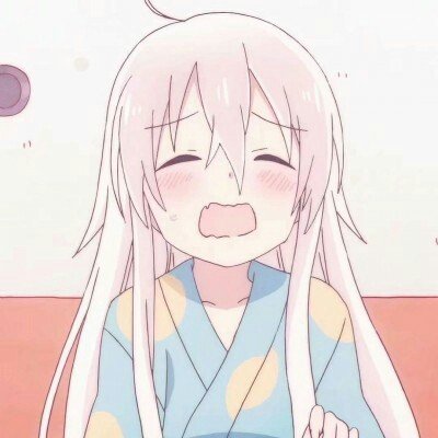 老虎伍兹被捕现场